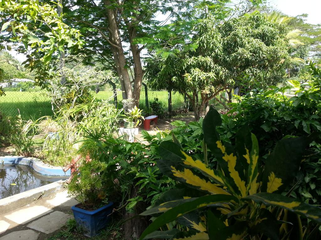 Hansika Guest Inn Buttala Buitenkant foto